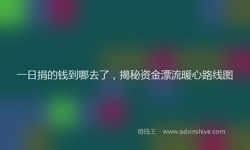 一日捐的钱到哪去了，揭秘资金漂流暖心路线图
