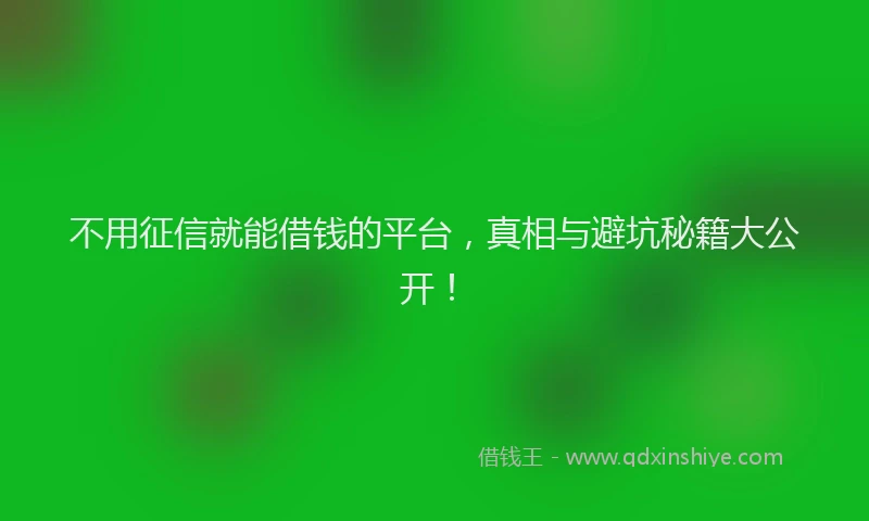 不用征信就能借钱的平台，真相与避坑秘籍大公开！