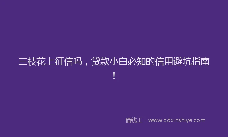 三枝花上征信吗，贷款小白必知的信用避坑指南！