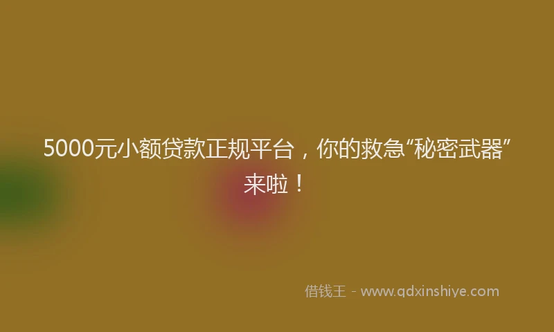 5000元小额贷款正规平台，你的救急“秘密武器”来啦！