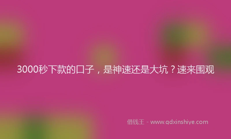 3000秒下款的口子，是神速还是大坑？速来围观