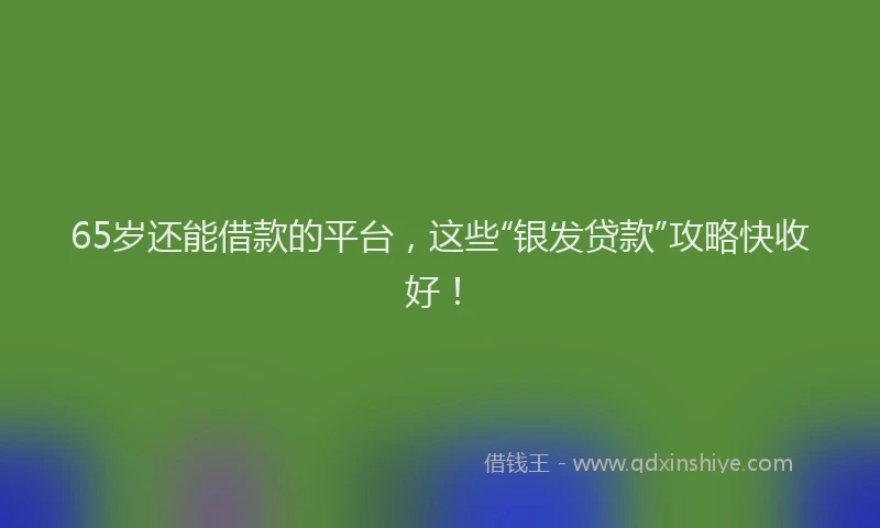 65岁还能借款的平台，这些“银发贷款”攻略快收好！