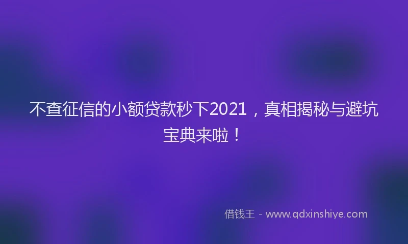 不查征信的小额贷款秒下2021，真相揭秘与避坑宝典来啦！