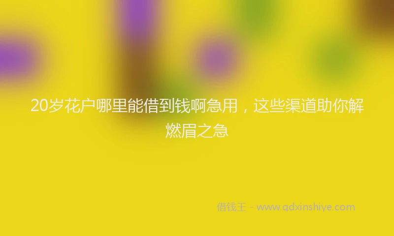 20岁花户哪里能借到钱啊急用，这些渠道助你解燃眉之急