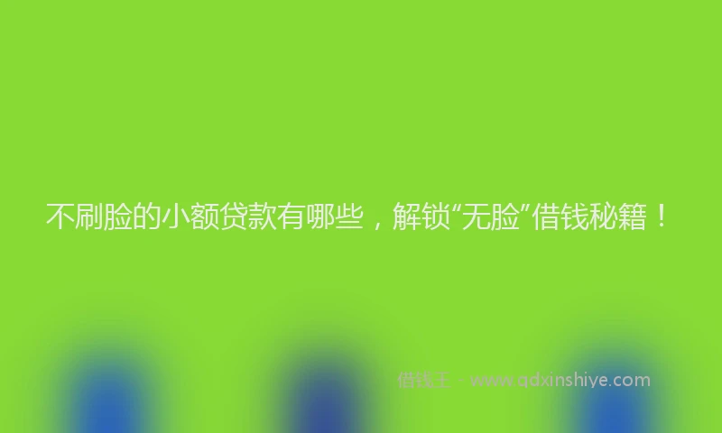 不刷脸的小额贷款有哪些，解锁“无脸”借钱秘籍！