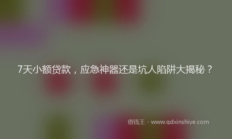 7天小额贷款，应急神器还是坑人陷阱大揭秘？