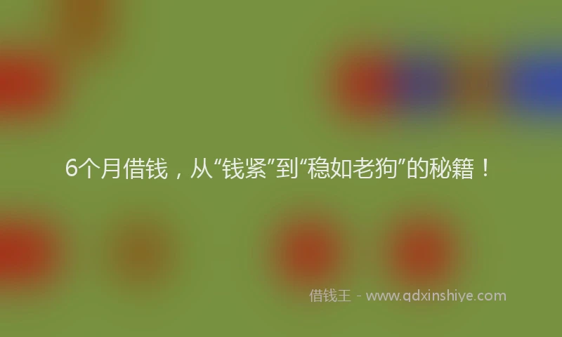 6个月借钱，从“钱紧”到“稳如老狗”的秘籍！