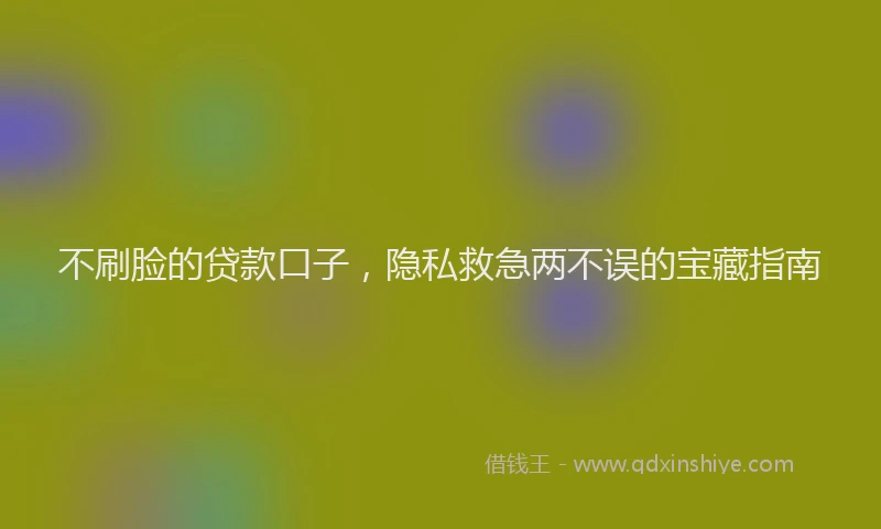 不刷脸的贷款口子，隐私救急两不误的宝藏指南