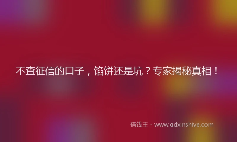 不查征信的口子，馅饼还是坑？专家揭秘真相！