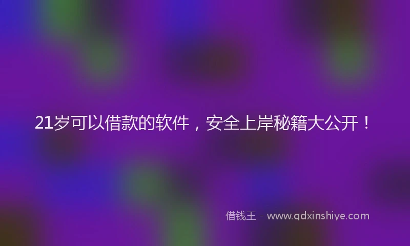 21岁可以借款的软件,安全上岸秘籍大公开!