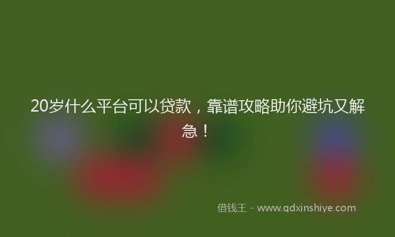 20岁什么平台可以贷款，靠谱攻略助你避坑又解急！
