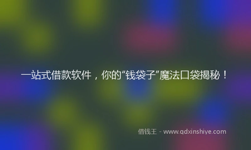 一站式借款软件，你的“钱袋子”魔法口袋揭秘！