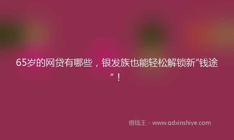 65岁的网贷有哪些，银发族也能轻松解锁新“钱途”！