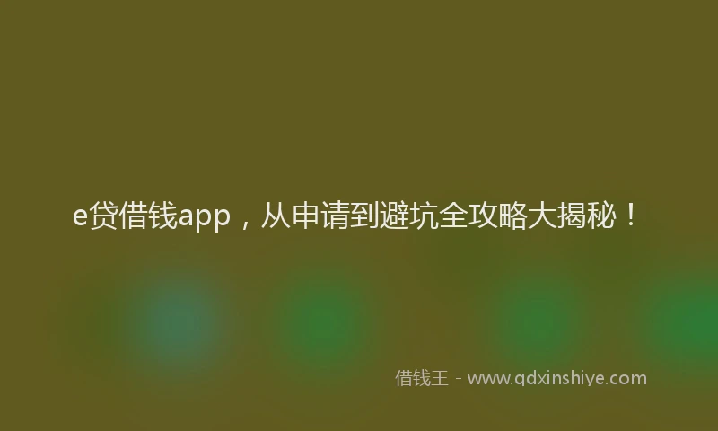 e贷借钱app，从申请到避坑全攻略大揭秘！
