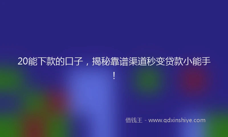 20能下款的口子，揭秘靠谱渠道秒变贷款小能手！