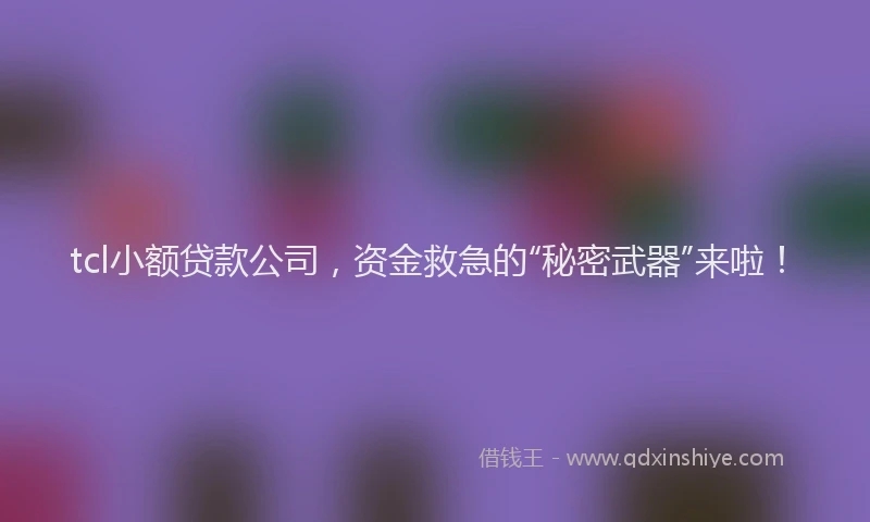 tcl小额贷款公司，资金救急的“秘密武器”来啦！