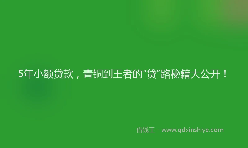 5年小额贷款，青铜到王者的“贷”路秘籍大公开！