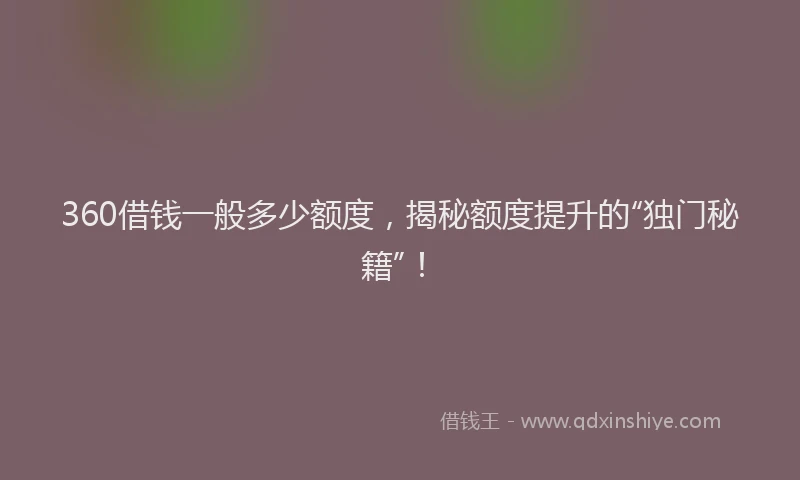 360借钱一般多少额度，揭秘额度提升的“独门秘籍”！