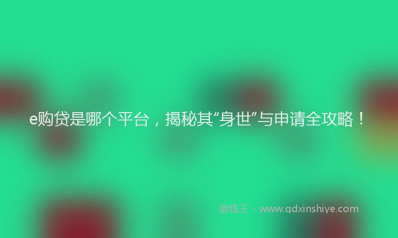 e购贷是哪个平台，揭秘其“身世”与申请全攻略！