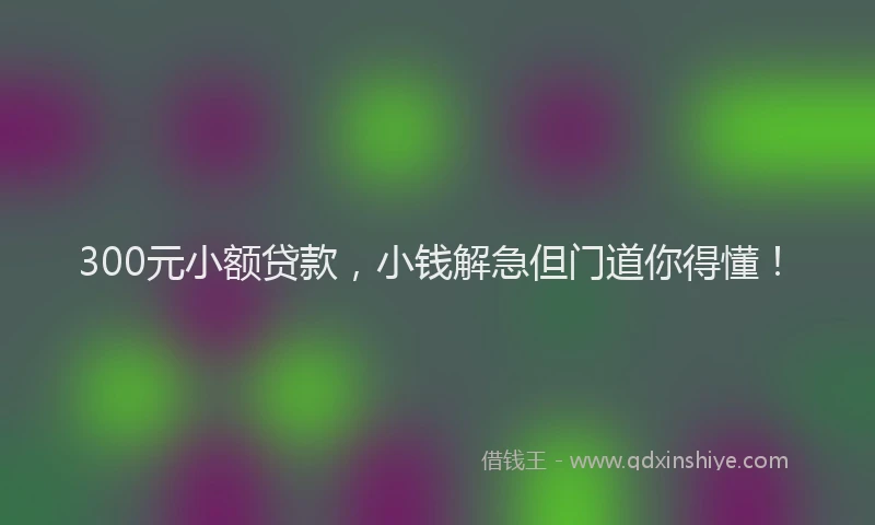 300元小额贷款，小钱解急但门道你得懂！