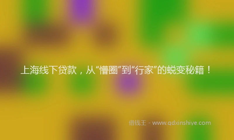 上海线下贷款，从“懵圈”到“行家”的蜕变秘籍！