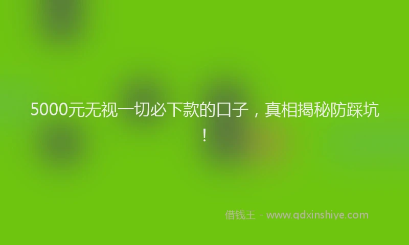 5000元无视一切必下款的口子，真相揭秘防踩坑！