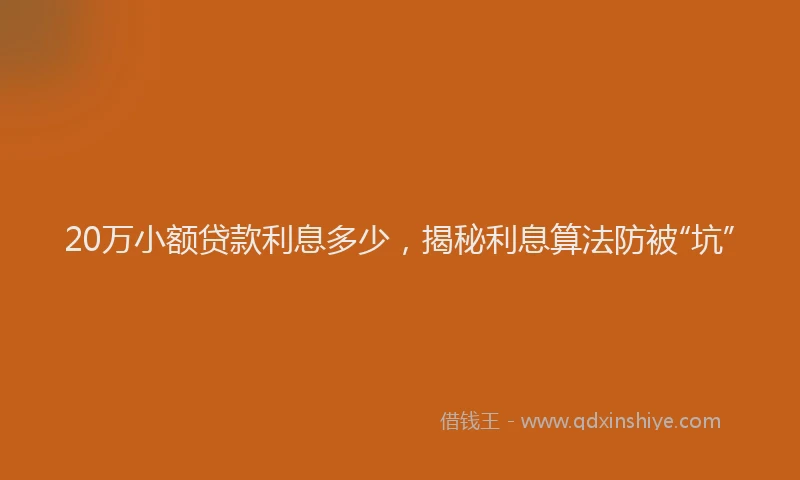 20万小额贷款利息多少，揭秘利息算法防被“坑”