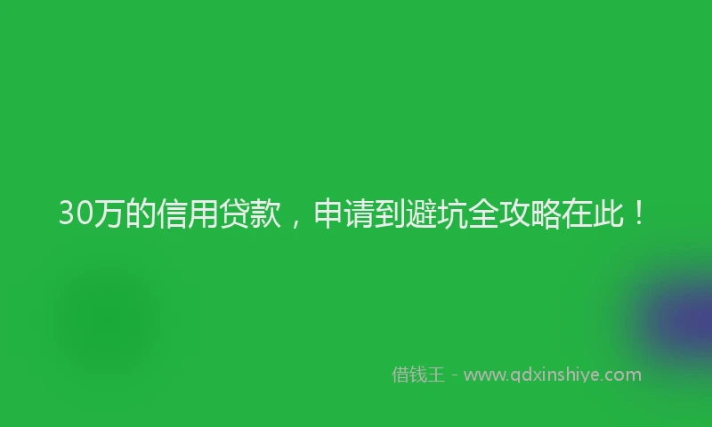 30万的信用贷款，申请到避坑全攻略在此！