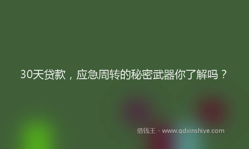 30天贷款，应急周转的秘密武器你了解吗？