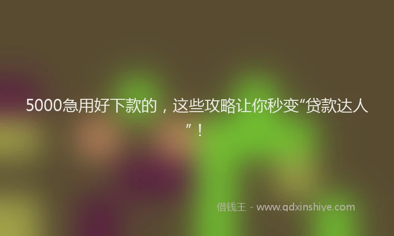 5000急用好下款的，这些攻略让你秒变“贷款达人”！