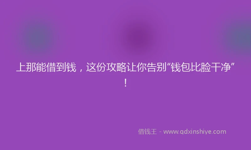 上那能借到钱，这份攻略让你告别“钱包比脸干净”！