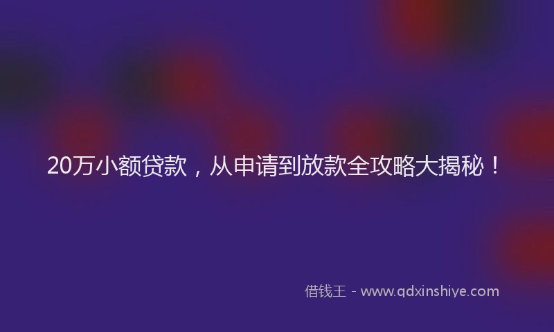 20万小额贷款，从申请到放款全攻略大揭秘！