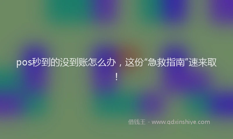 pos秒到的没到账怎么办，这份“急救指南”速来取！