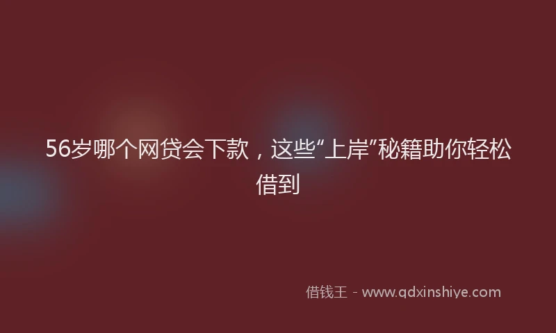 56岁哪个网贷会下款，这些“上岸”秘籍助你轻松借到