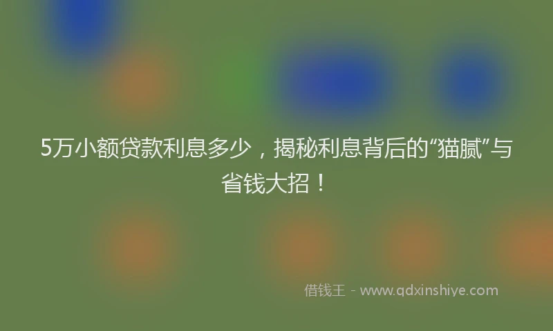 5万小额贷款利息多少，揭秘利息背后的“猫腻”与省钱大招！