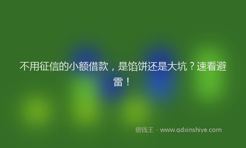 不用征信的小额借款，是馅饼还是大坑？速看避雷！