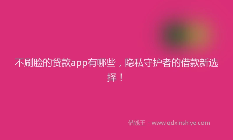 不刷脸的贷款app有哪些，隐私守护者的借款新选择！