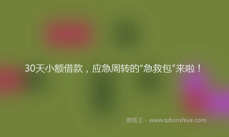 30天小额借款，应急周转的“急救包”来啦！