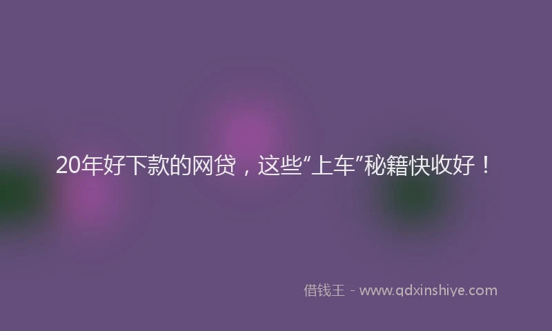 20年好下款的网贷，这些“上车”秘籍快收好！