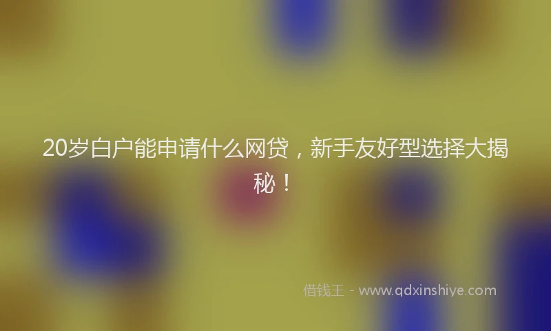 20岁白户能申请什么网贷，新手友好型选择大揭秘！