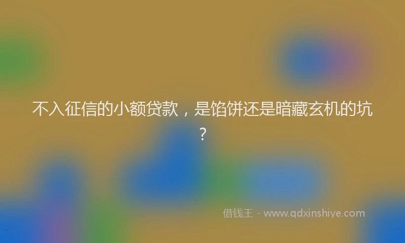 不入征信的小额贷款，是馅饼还是暗藏玄机的坑？
