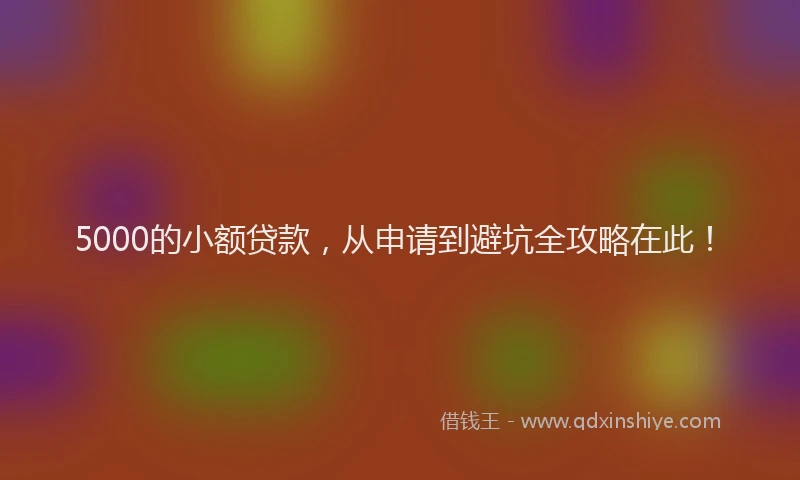 5000的小额贷款，从申请到避坑全攻略在此！