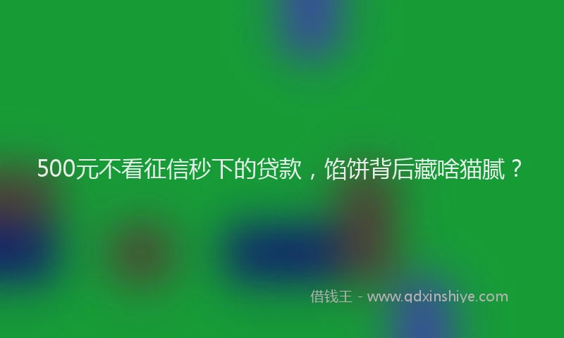 500元不看征信秒下的贷款，馅饼背后藏啥猫腻？