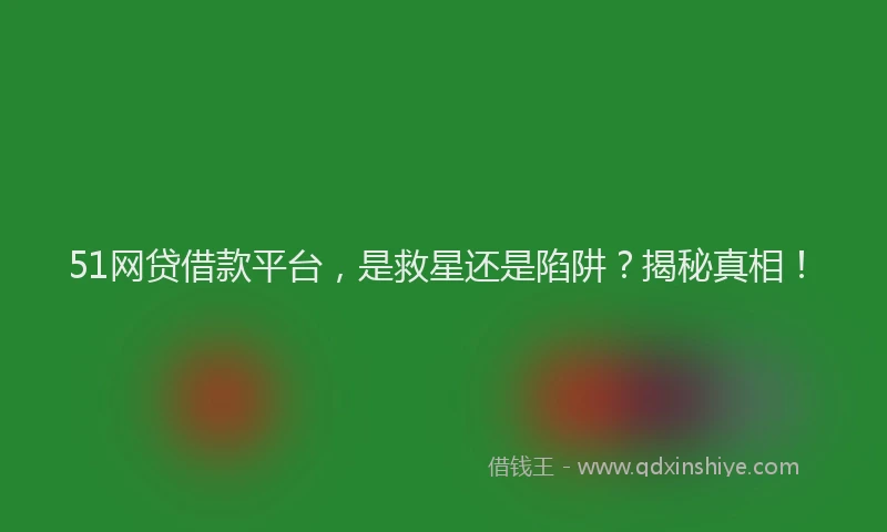 51网贷借款平台，是救星还是陷阱？揭秘真相！
