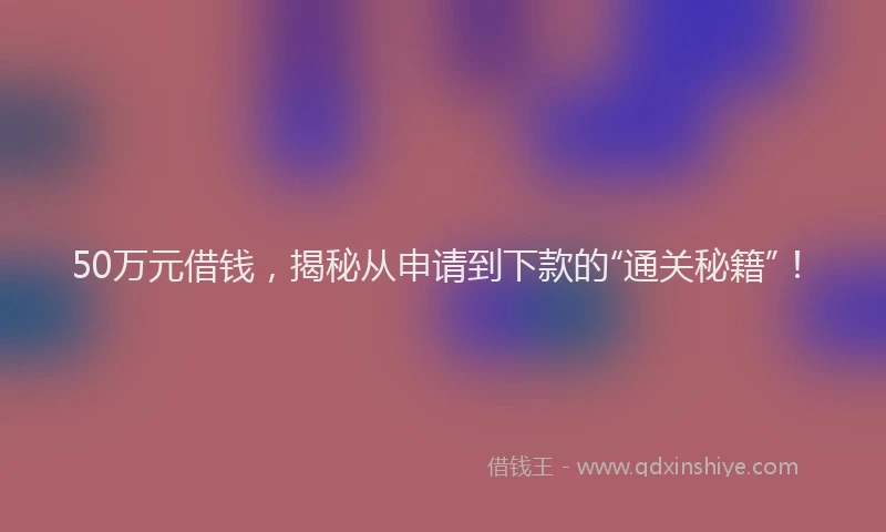50万元借钱，揭秘从申请到下款的“通关秘籍”！