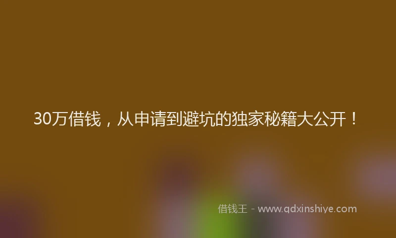 30万借钱，从申请到避坑的独家秘籍大公开！