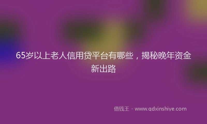 65岁以上老人信用贷平台有哪些，揭秘晚年资金新出路
