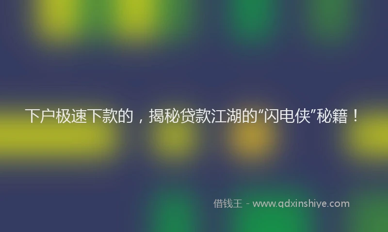 下户极速下款的，揭秘贷款江湖的“闪电侠”秘籍！