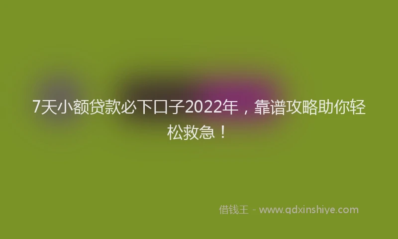 7天小额贷款必下口子2022年，靠谱攻略助你轻松救急！