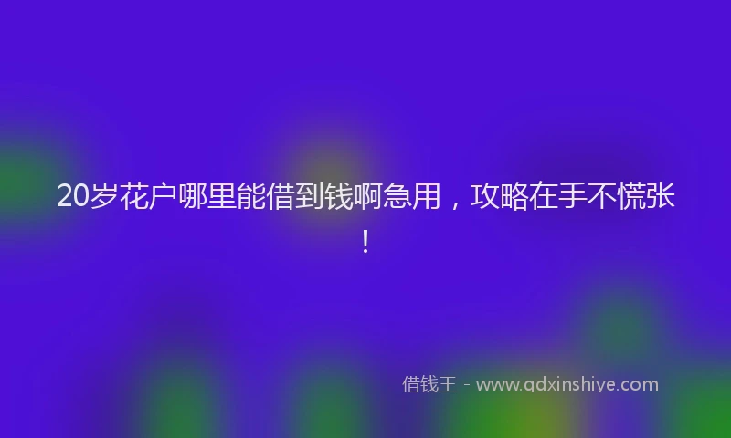 20岁花户哪里能借到钱啊急用，攻略在手不慌张！